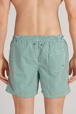 Bañador Bóxer con Estampado de Raya Verde