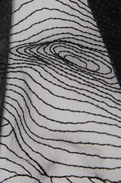 Brasileña Hypnotic Details