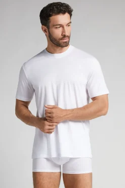 Camiseta de Algodón Superlight Premium Mercerizado