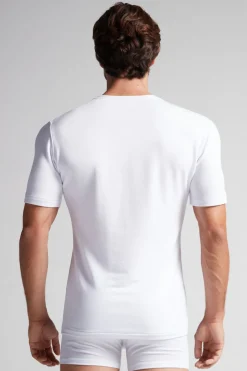 Camiseta Manga Corta Modal Cashmere